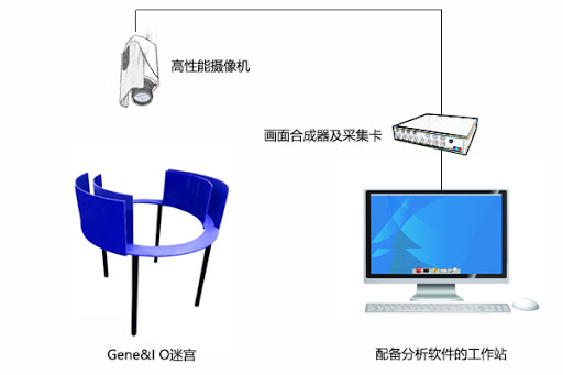 O迷宫 动物行为学 动物模型构建平台 实验动物模型 动物科研实验外包 Ttc染色 药物安全性评价 免疫荧光染色 Pas染色 Masson染色 病理切片 He染色 荧光定量pcr 南京英瀚斯生物科技有限公司